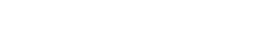 Indian Auto Services